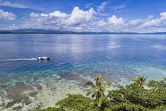 North Sulawesi, Nord Sulawesi, Celebes Sea, Murex Manado