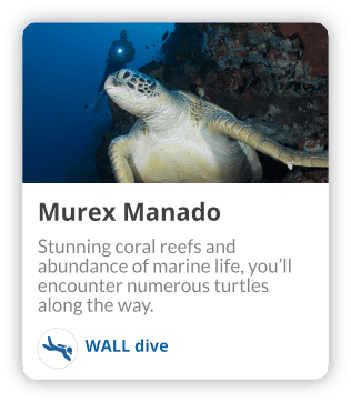 Murex Manado Wall Dive