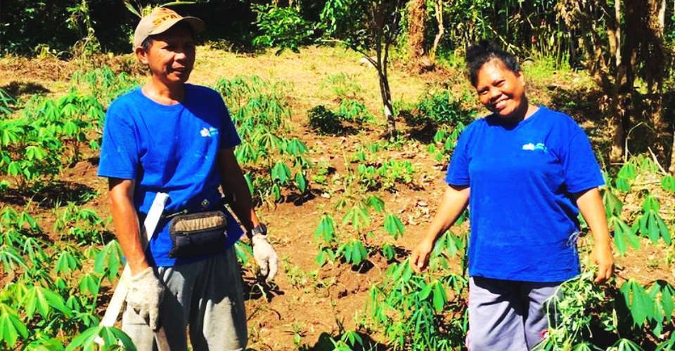blog-image-latest-news-farming-team Murex Manado organic farm