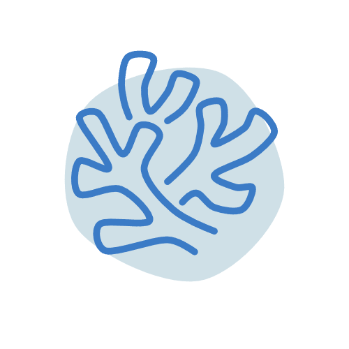 conservation coral reef icon