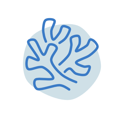 conservation-coralreef-icon-1 conservation coral reef icon