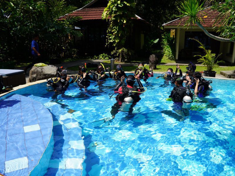 Scuba Diving Courses Manado - PADI Courses - Murex Resorts