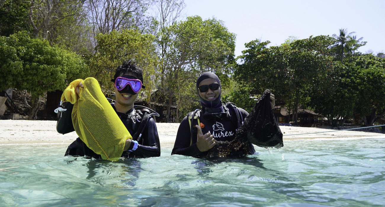 Murex bangka clean up