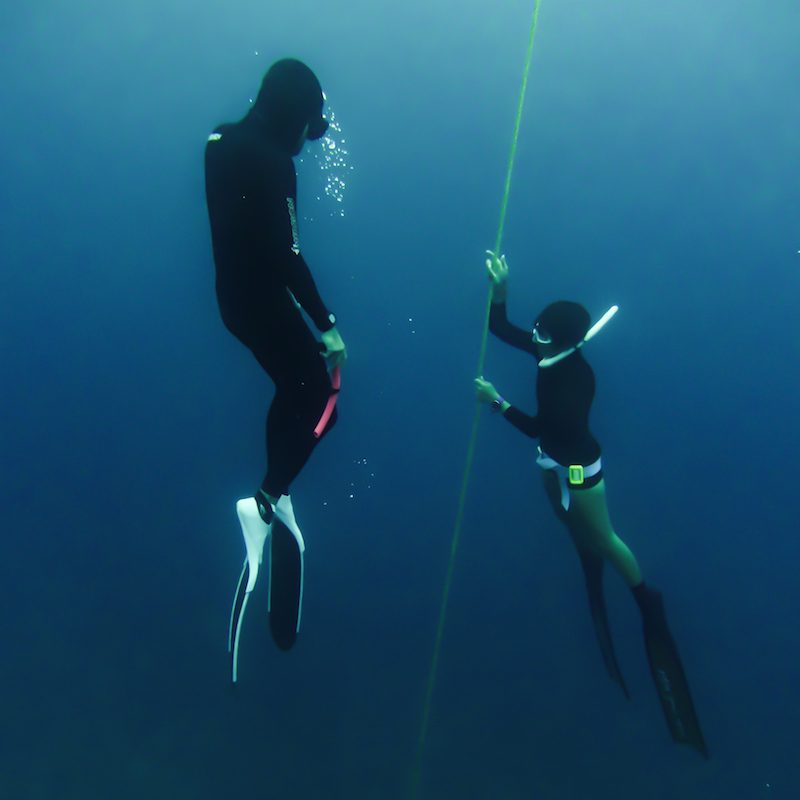 Freedive manado