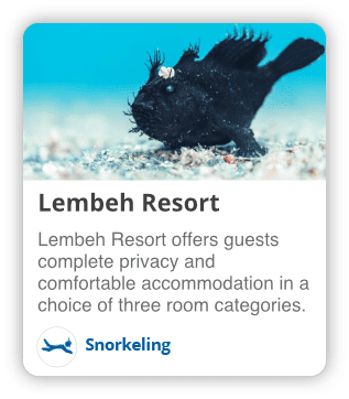 lembeh resort snorkeling