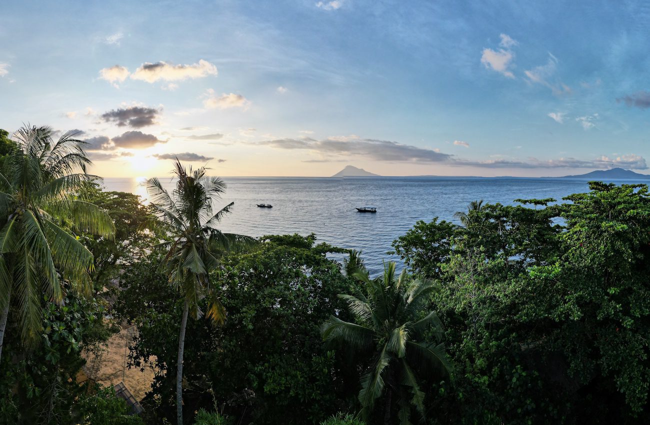Diving in Bunaken and Manado