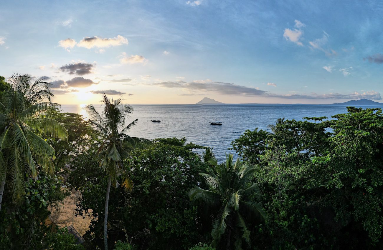 Diving in Bunaken and Manado