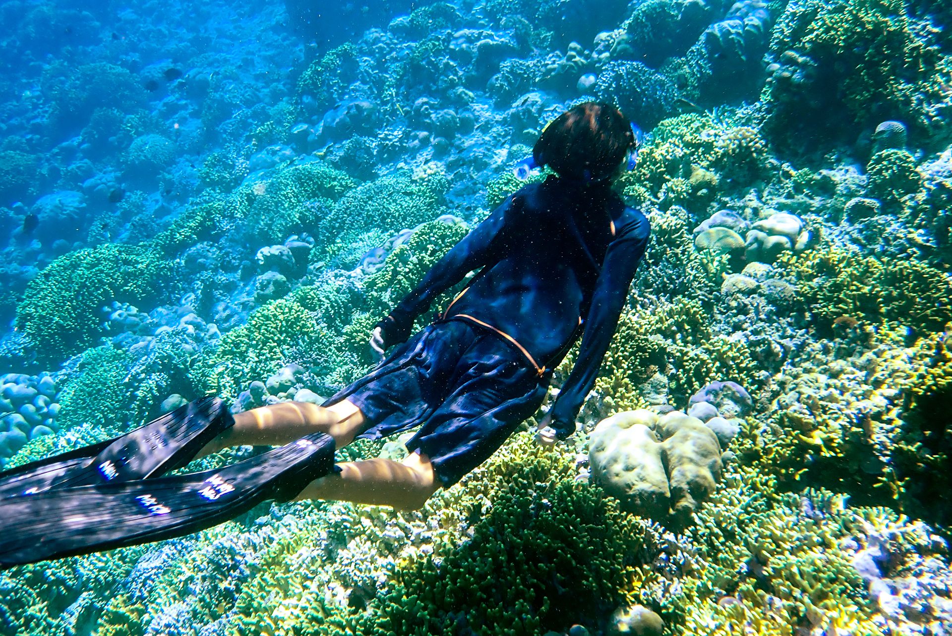 Snorkeling in North Sulawesi with Murex. Snorkeler with beautiful coral reef using goggle and diving fin