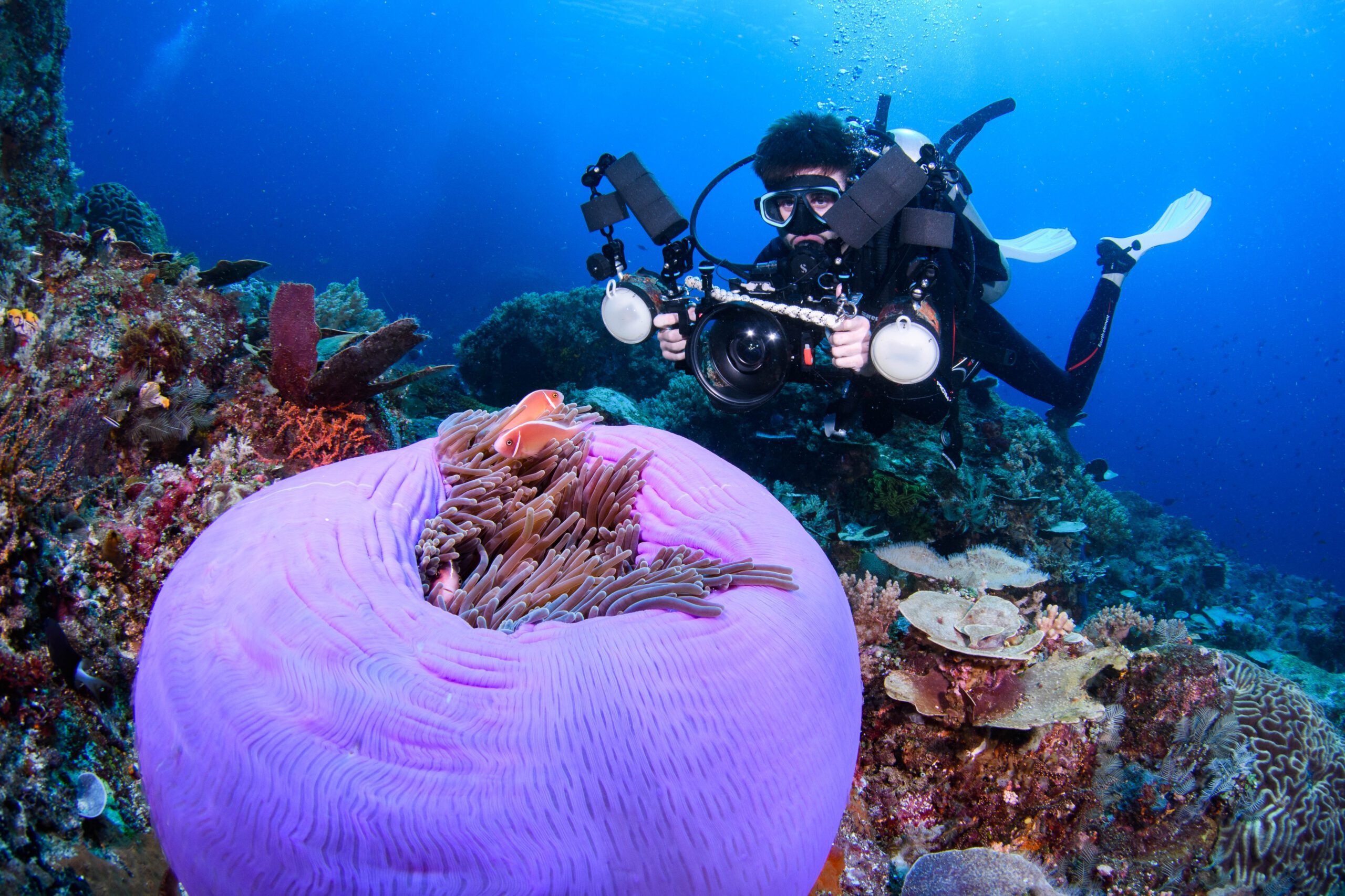 Diving Manado