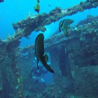 Wreck Diving in Manado Bay