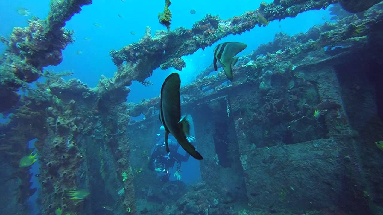 Wreck Diving in Manado Bay Wreck Diving in Manado Bay