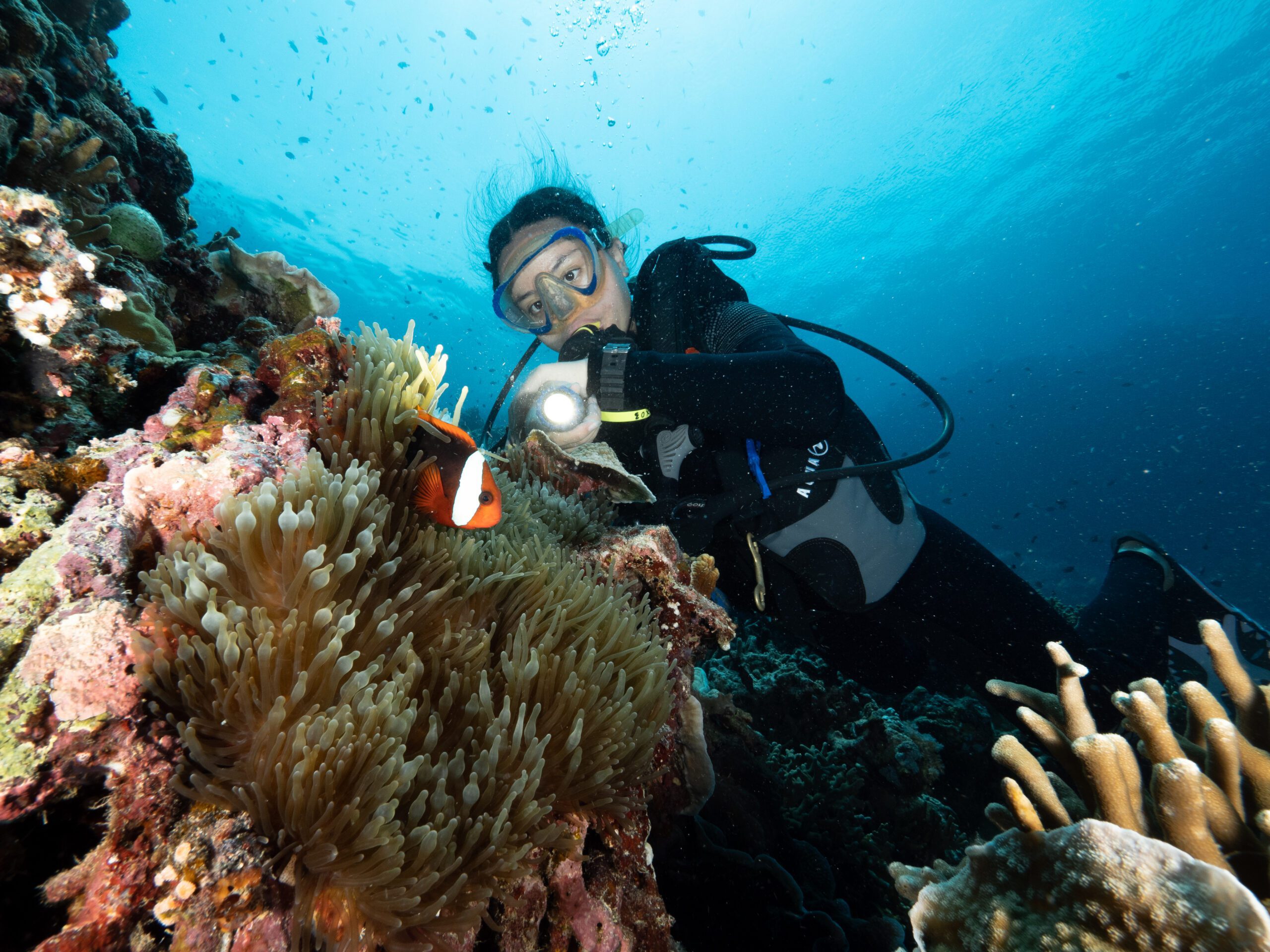 Underwater Photography