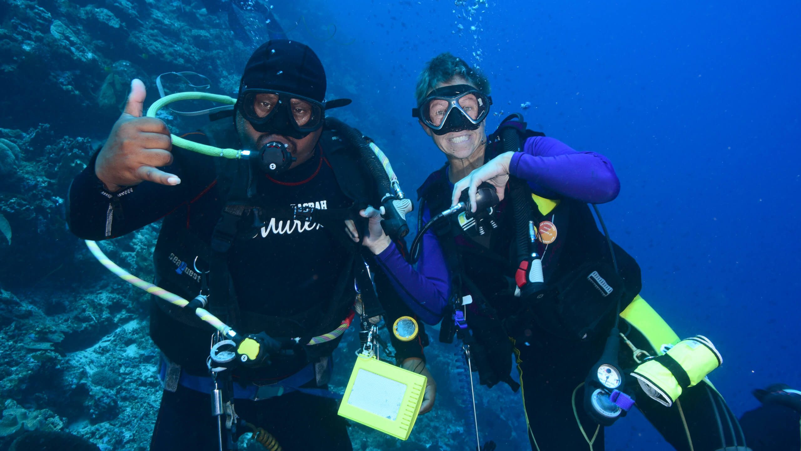 Diving Course with Murex