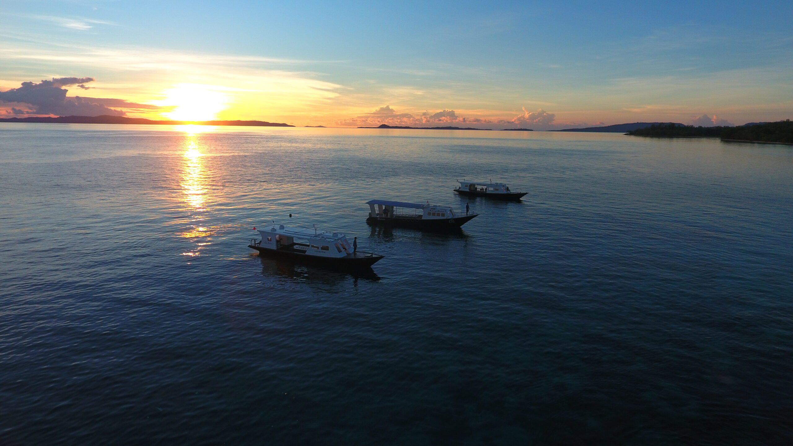 Murex Boats