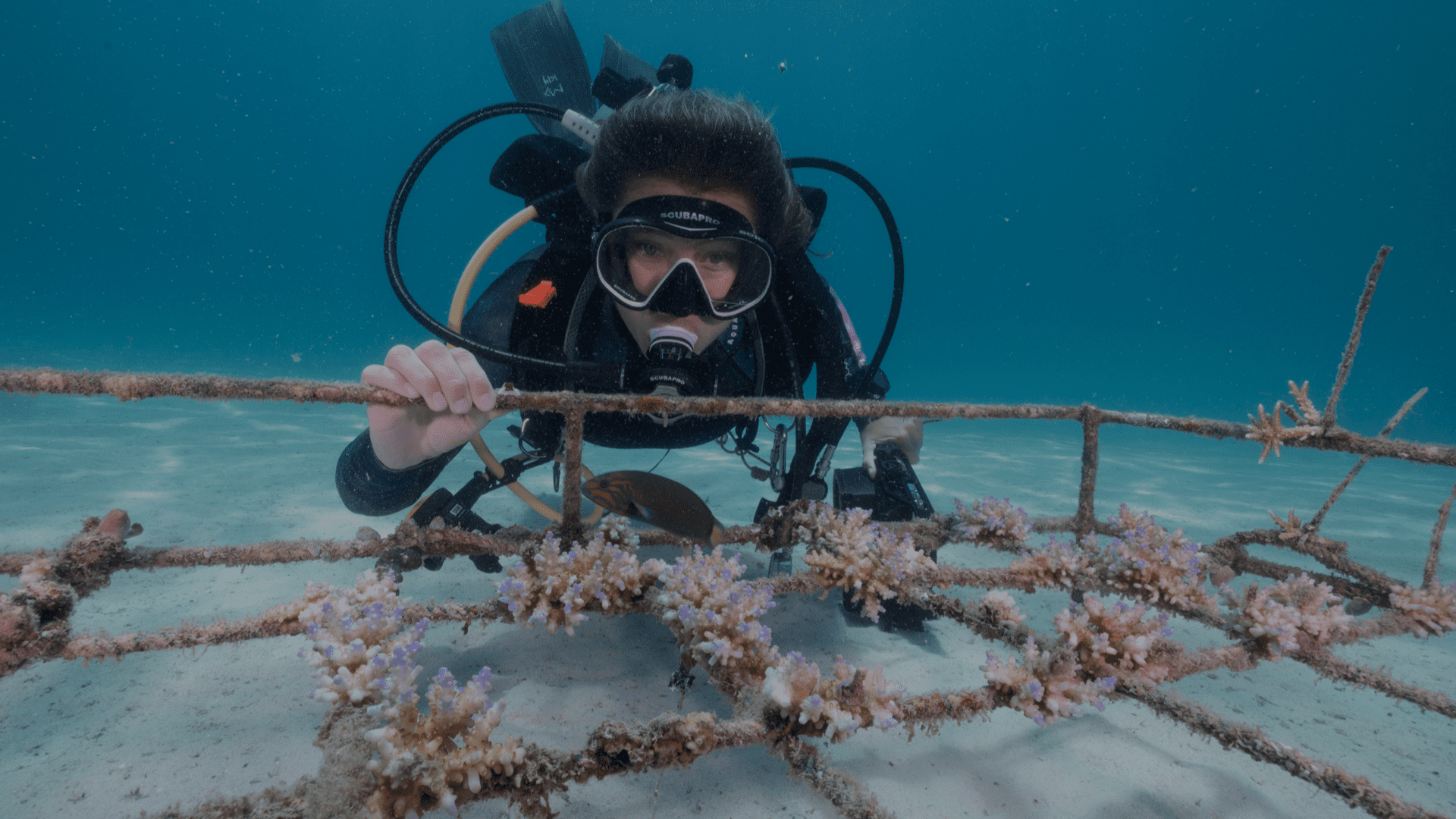Ocean gardener course by Murex Resorts