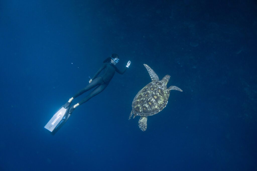 Freediving with turtle in Bunaken 