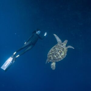 freediving in Bunaken