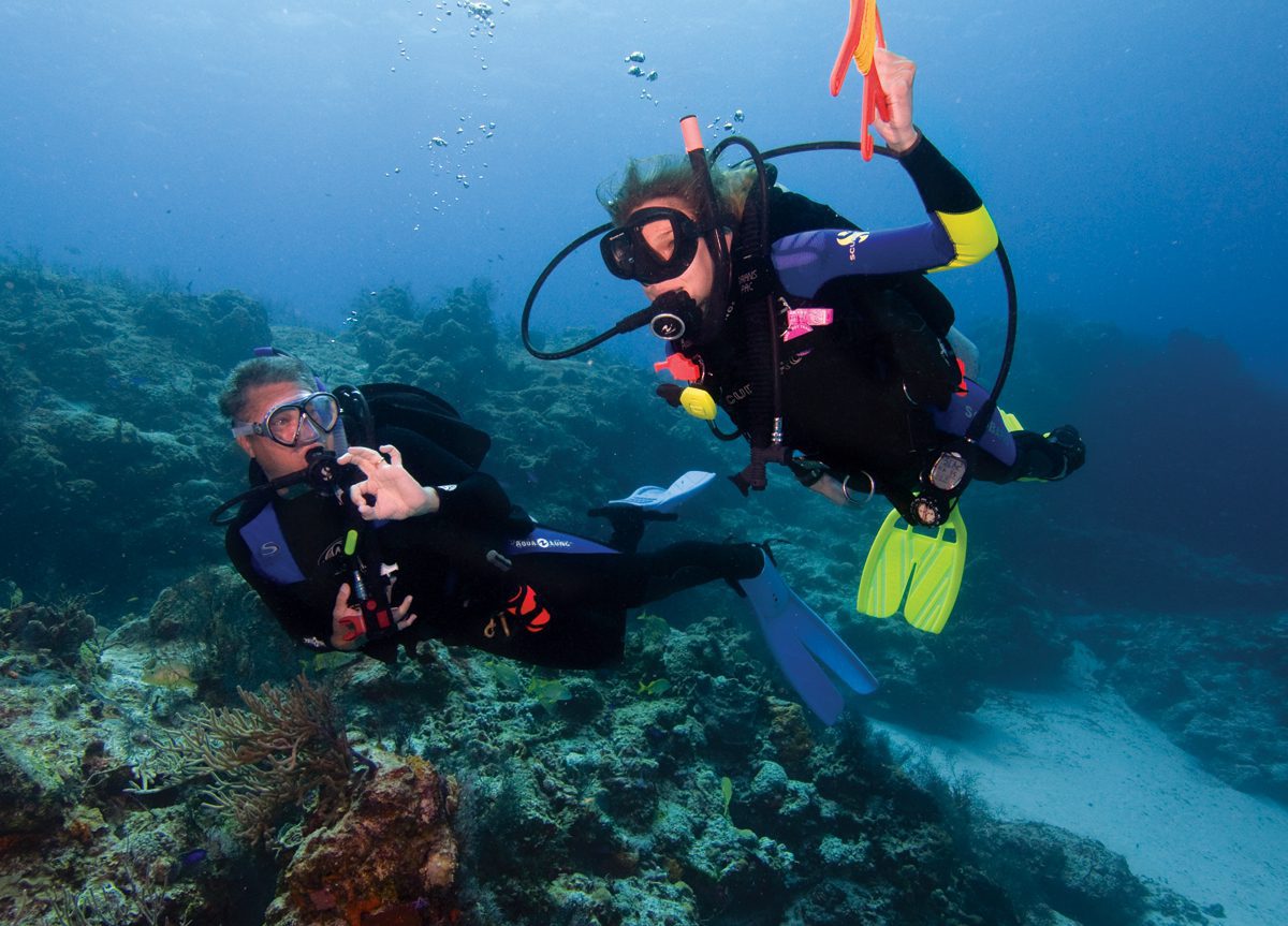 The closest humans come to being a fish': how scuba is pushing new limits, Oceans