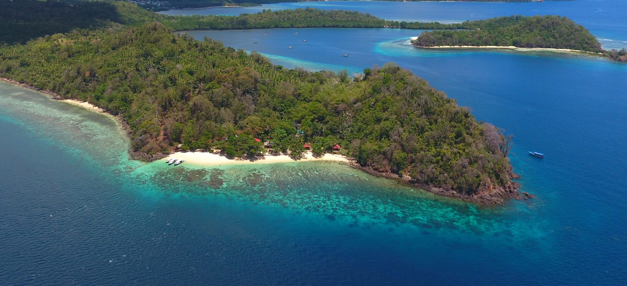 DCIM100MEDIADJI_0051.JPG Murex Bangka Island