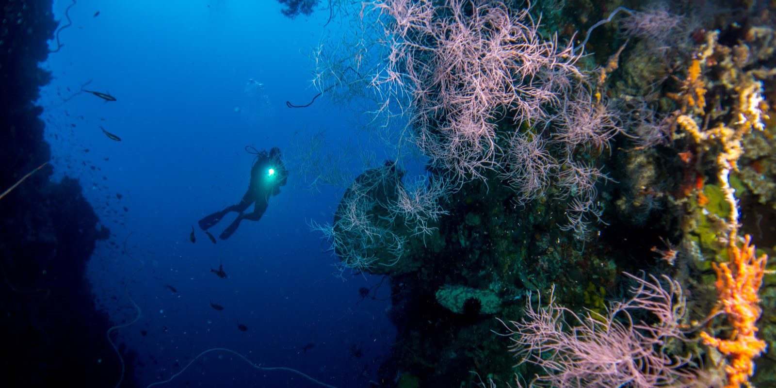 Diving Bunaken