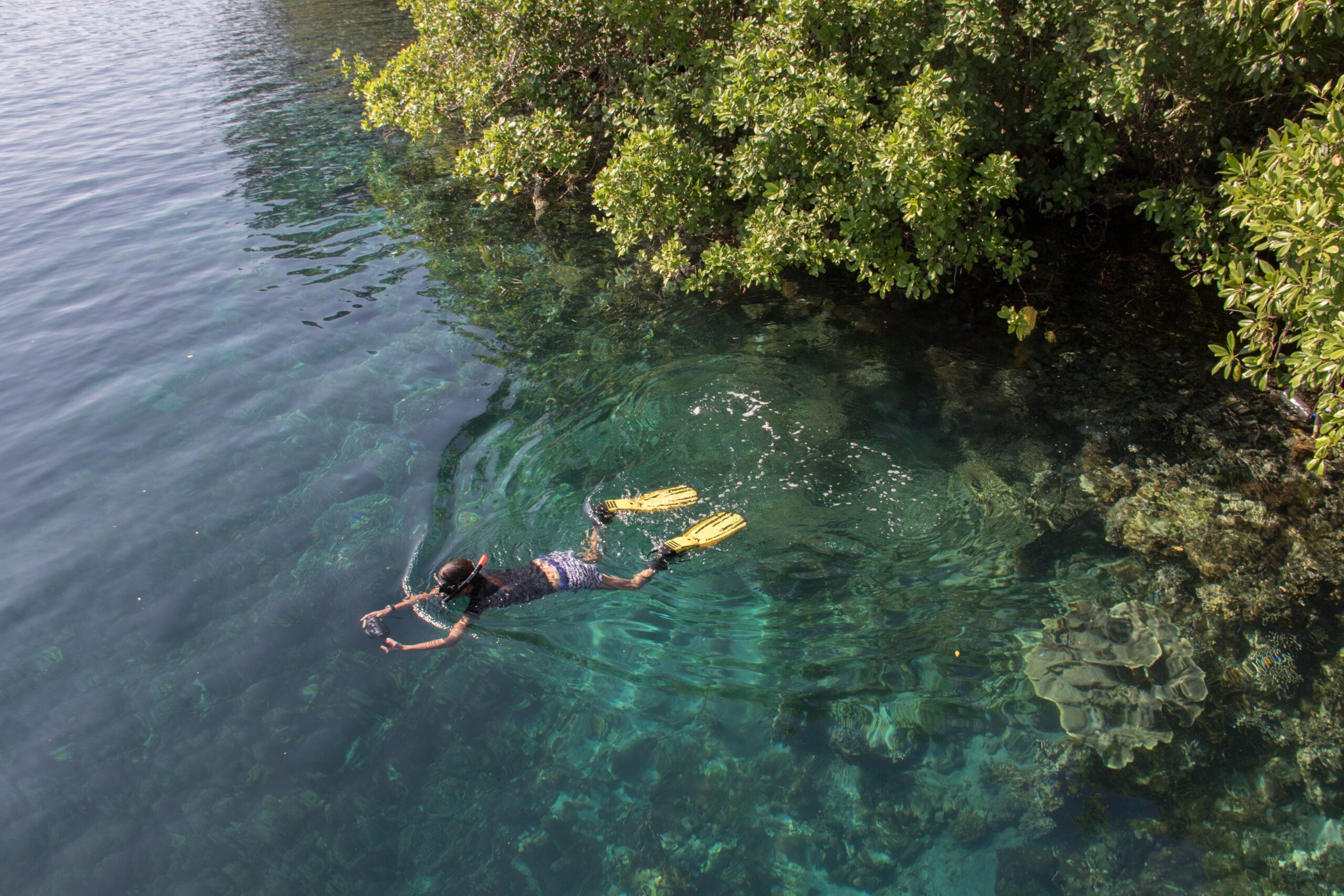 Snorkeling around north sulawesi