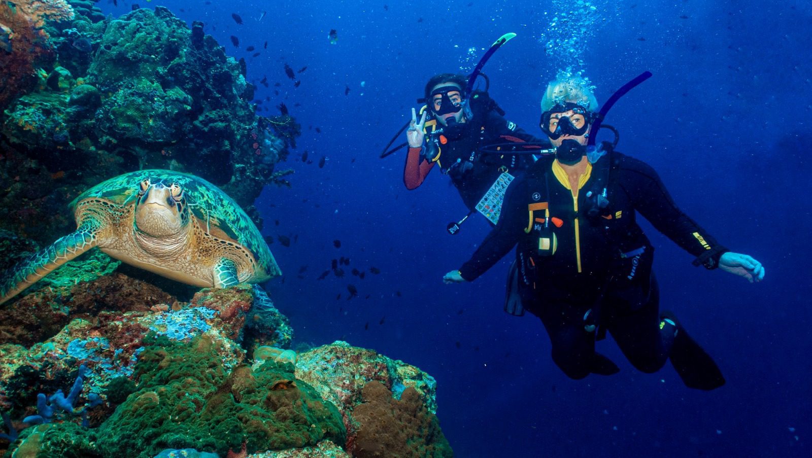 Turtle Diving in Bunaken